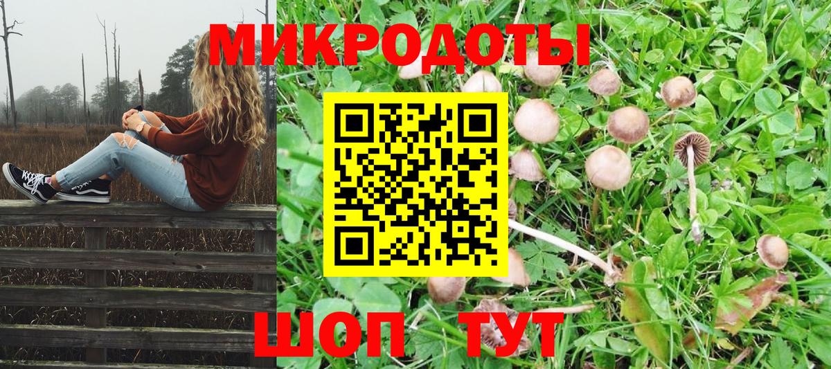 Кострома  Псилоцибиновые грибы Psilocybe  наркотики  Вход с VPN 